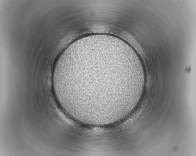 X0000093580441200711121104