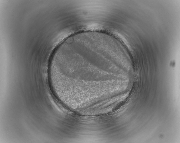 X0000093580443200711121104