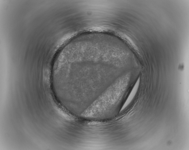 X0000093580444200711121104