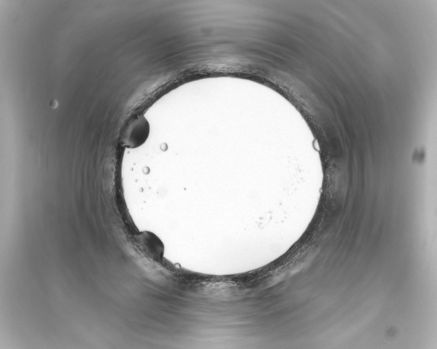 X0000093580446200711121104