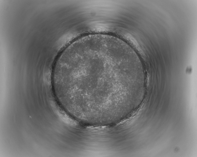 X0000093580447200711121104