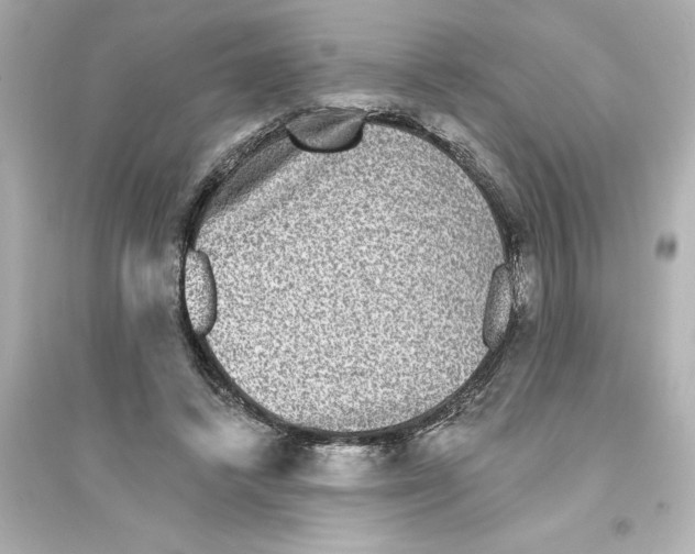 X0000093580448200711121104