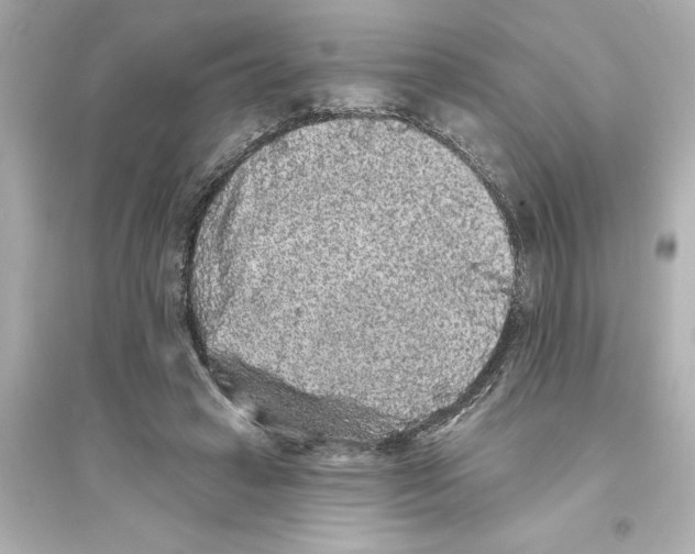 X0000093580449200711121104