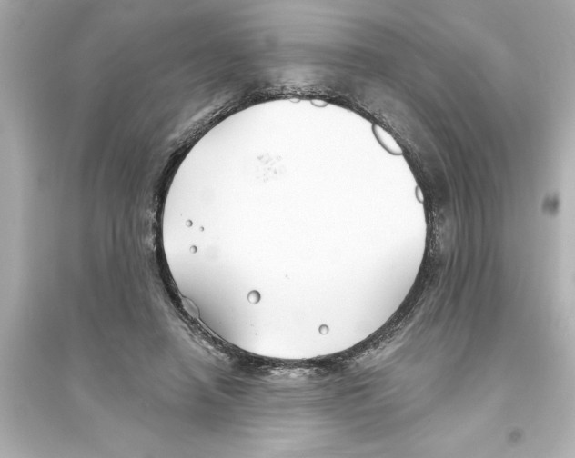 X0000093580450200711121104