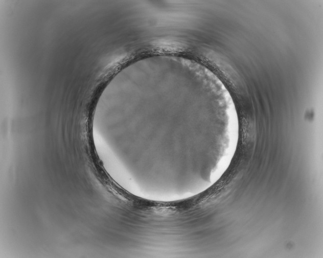 X0000093580451200711121104