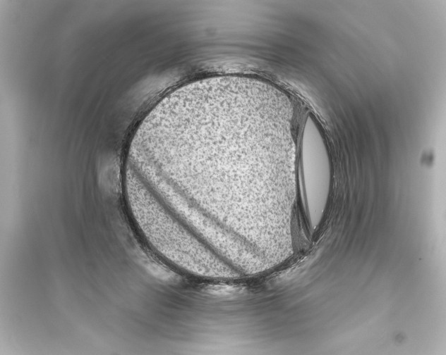 X0000093580453200711121104