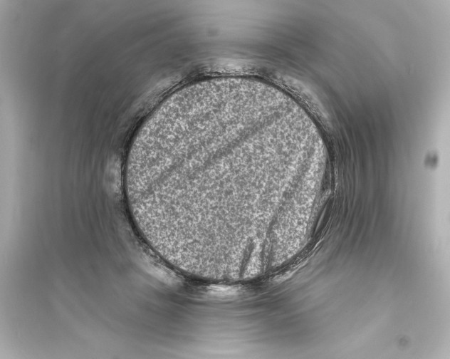 X0000093580457200711121104