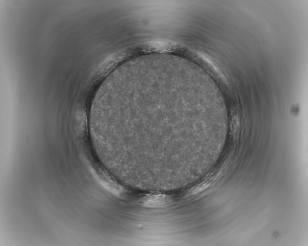 X0000093580459200711121104