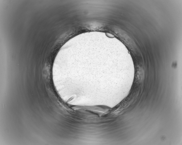 X0000093580461200711121104