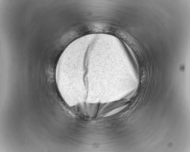 X0000093580469200711121105