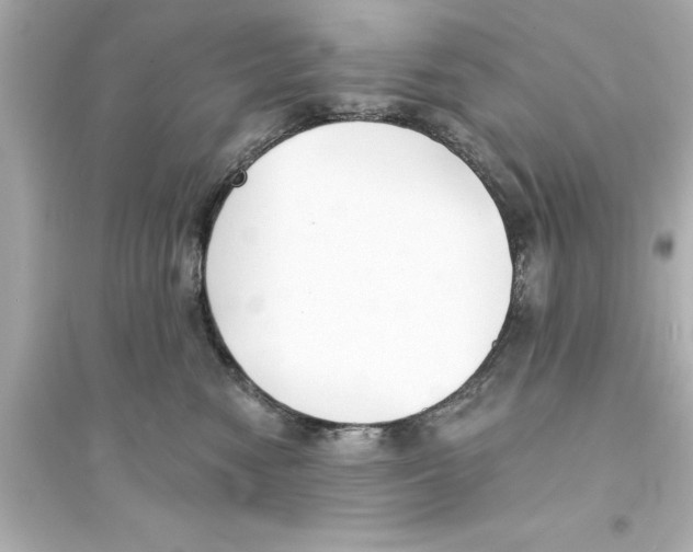 X0000093580474200711121105