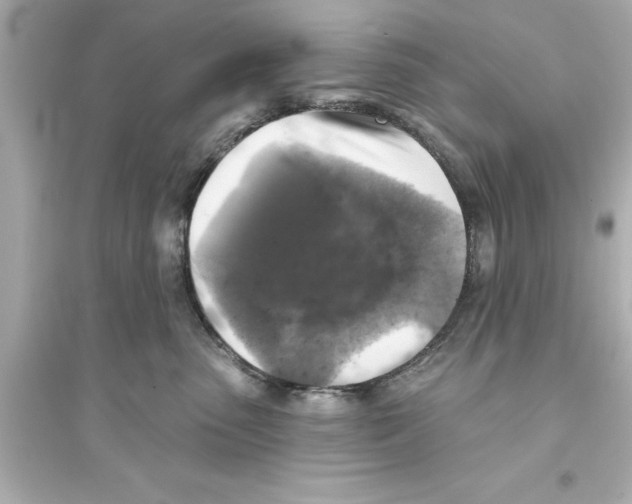 X0000093580475200711121105