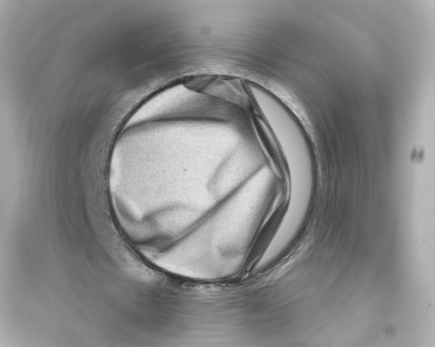 X0000093580481200711121104