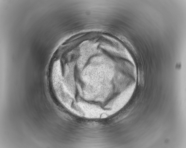 X0000093580483200711121104