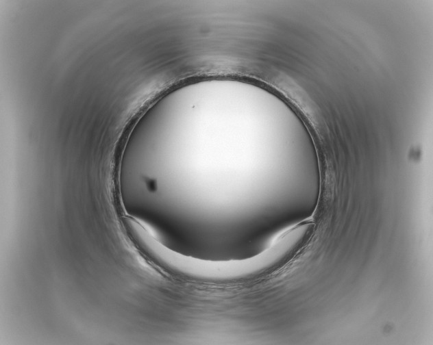 X0000093580485200711121104