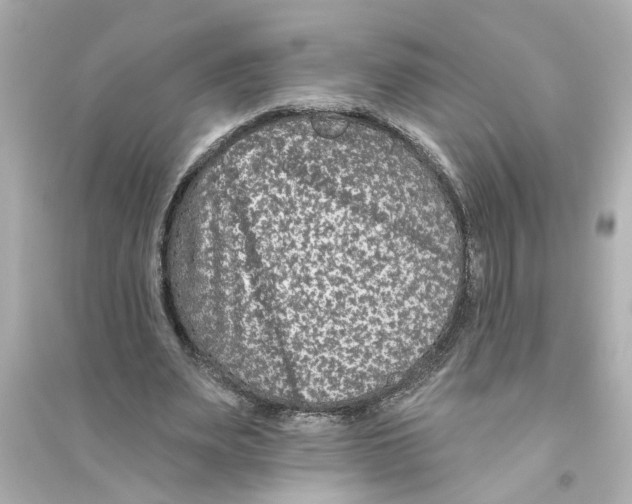 X0000093580487200711121104