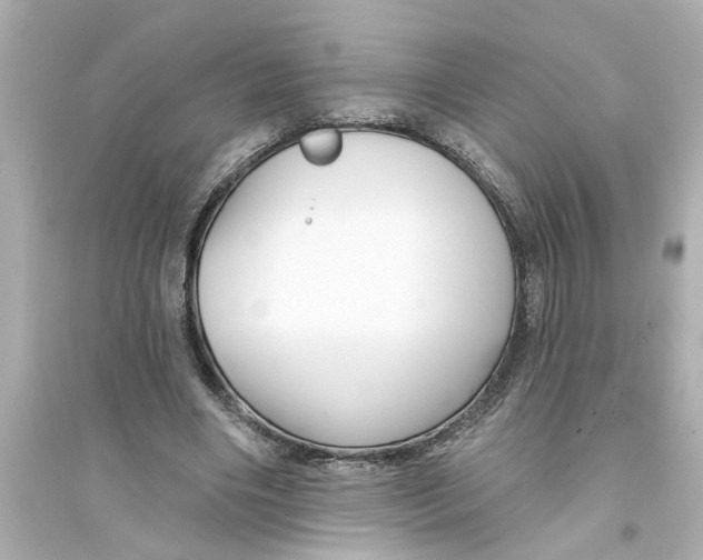 X0000093580490200711121104