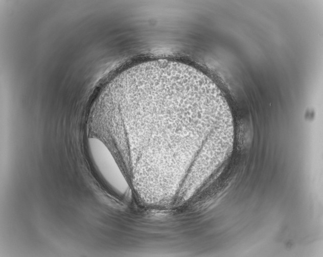 X0000093580495200711121104