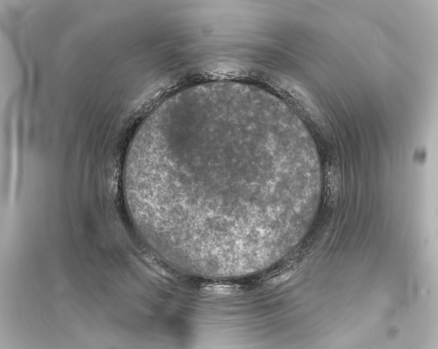 X0000093580499200711121104