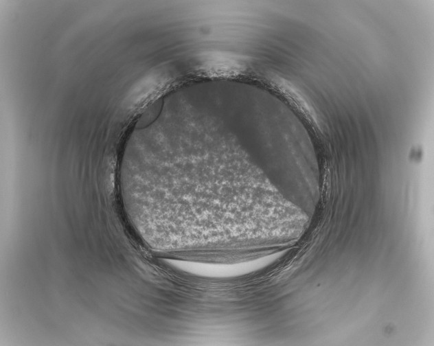 X0000093580501200711121104