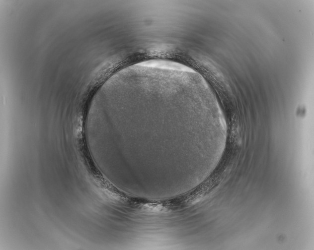 X0000093580502200711121104