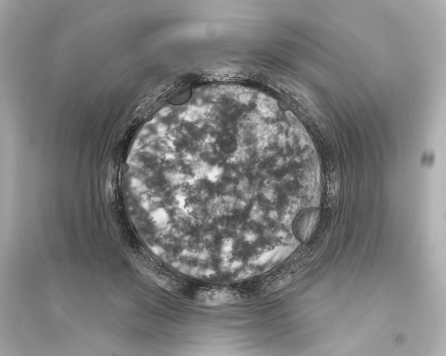 X0000093580503200711121104