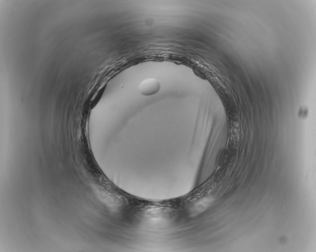 X0000093580504200711121104