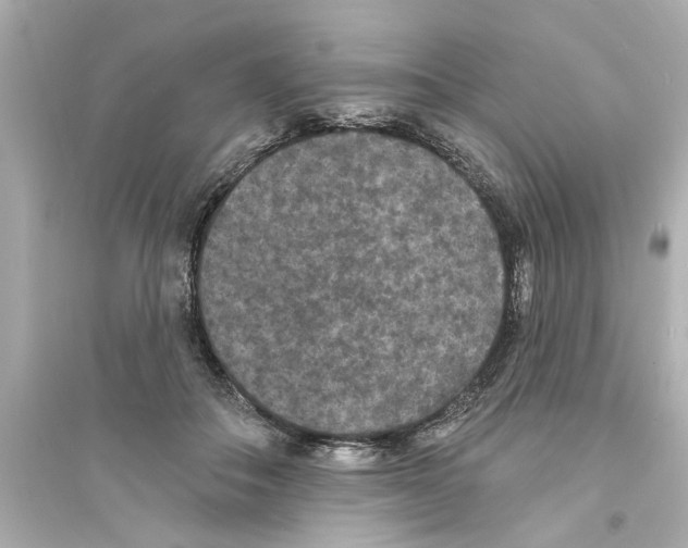 X0000093580506200711121104