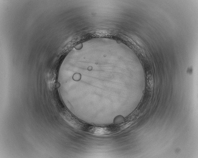 X0000093580507200711121104