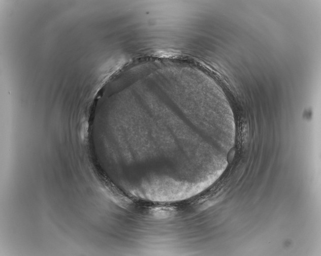 X0000093580508200711121104