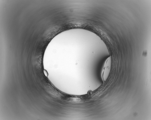 X0000093580509200711121104