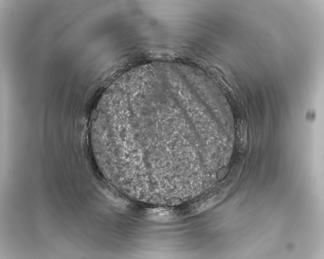 X0000093580511200711121104