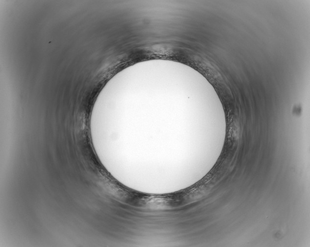 X0000093580518200711121103