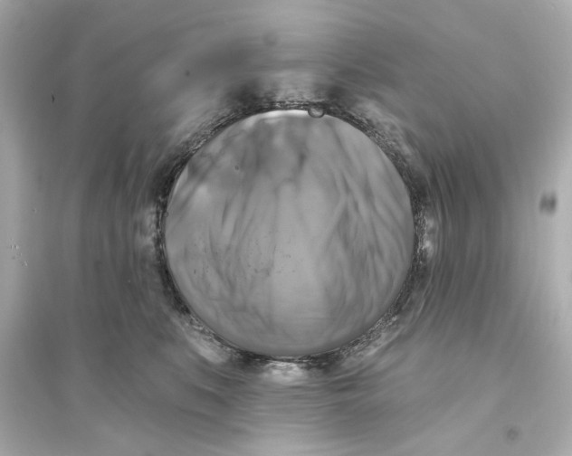 X0000093580519200711121103