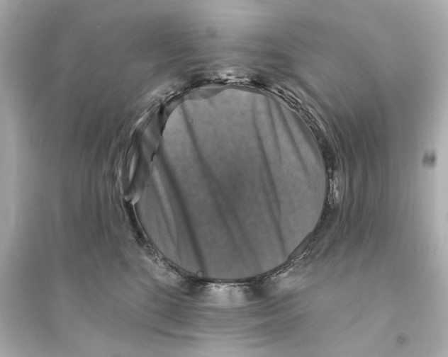 X0000093580520200711121103