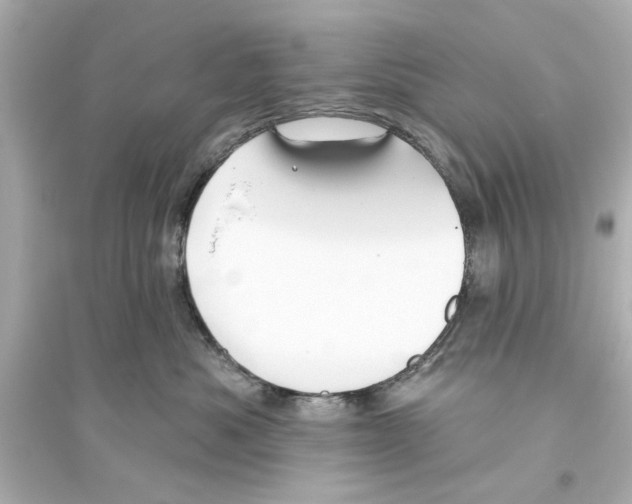 X0000093580525200711121103