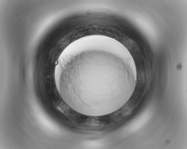 X0000093580526200711121103