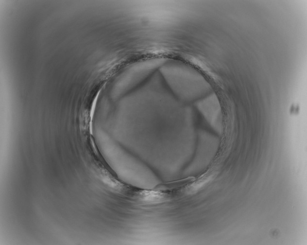 X0000093580528200711121103