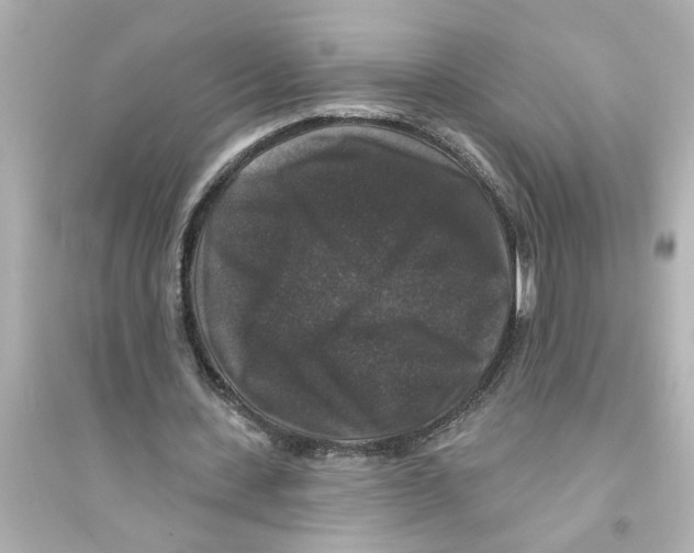 X0000093580531200711121103