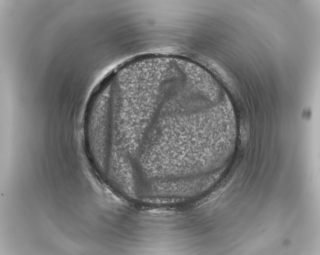 X0000093580532200711121103