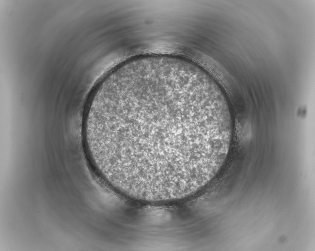 X0000093580534200711121103