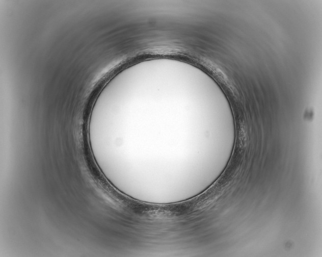 X0000093580535200711121103