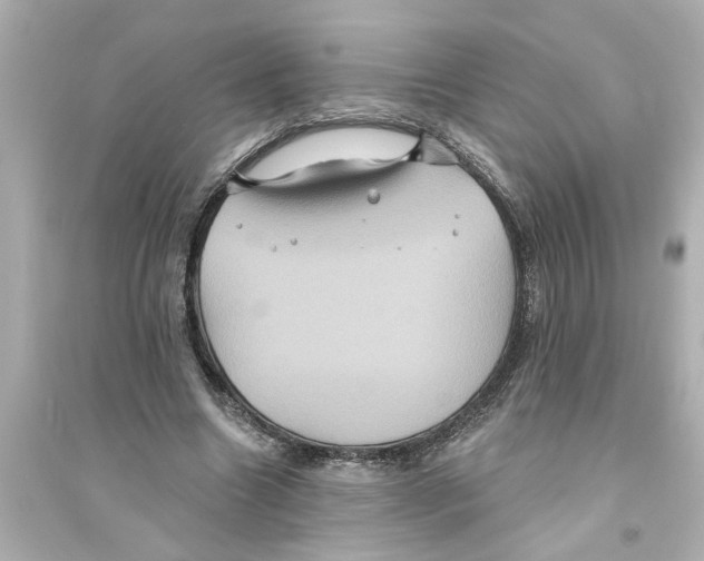 X0000093580538200711121103