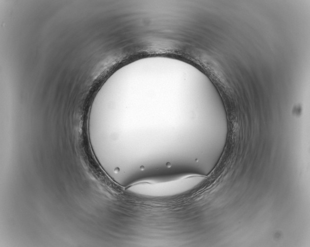 X0000093580539200711121103