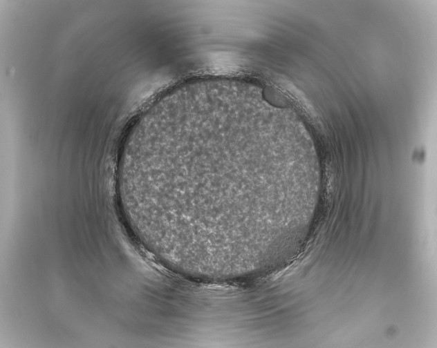 X0000093580542200711121103