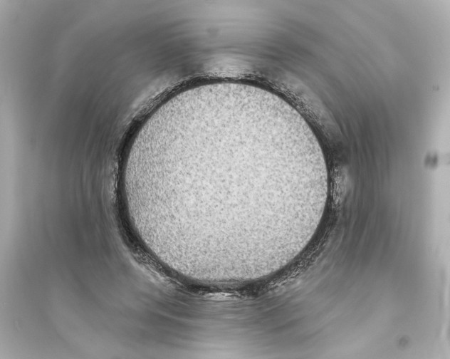 X0000093580544200711121103