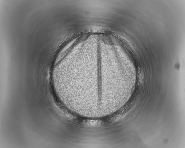 X0000093580546200711121103