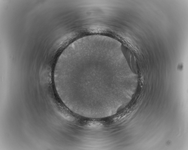 X0000093580547200711121103