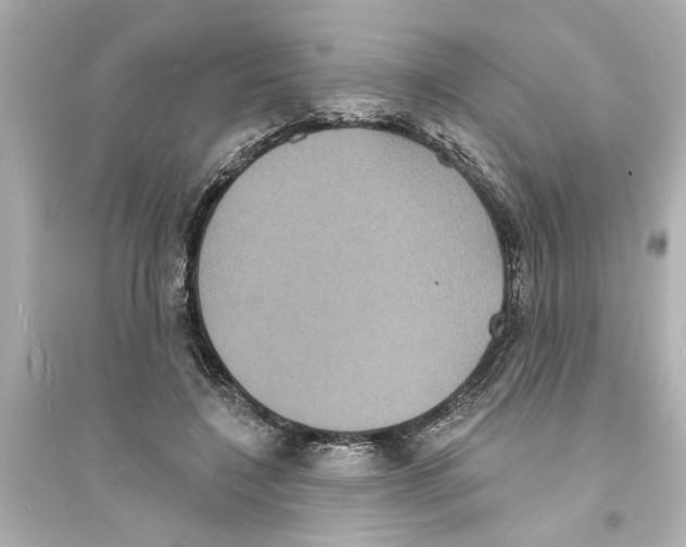 X0000093580548200711121103