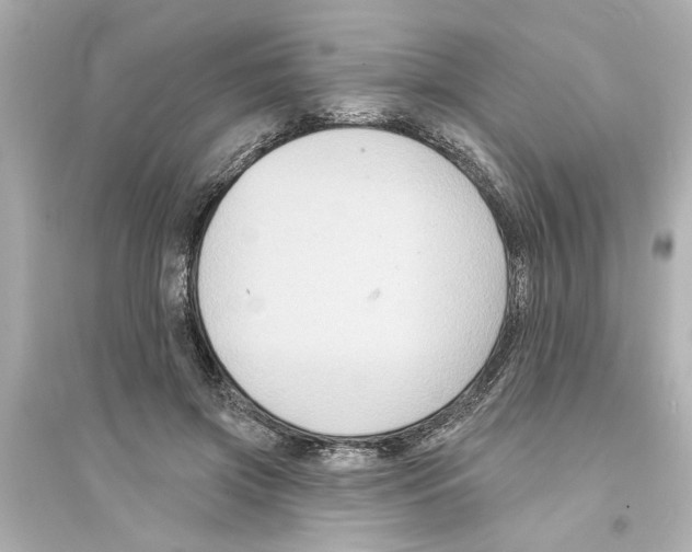 X0000093580549200711121103